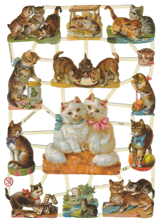 Kittens & Cats EF Scraps