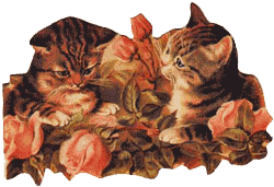 Kittens in Roses Note Card