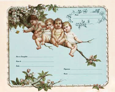 Babies on a Limb Birth Certificate