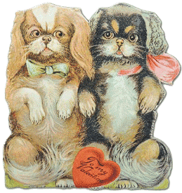 Two Dogs To My Valentine Card