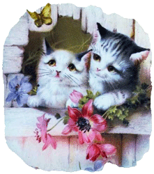 Kittens Hotpad & Coasters