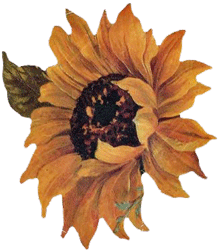 Sunflower Hotpad