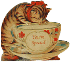 You're Special Cat Note Card
