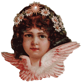 Angel Face wDaisies in Hair Ornament