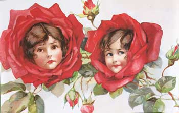 Red Flower Faces Postcard