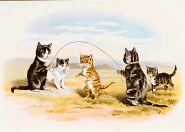 Cats Jumping Rope
