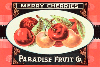 Merry Cherries