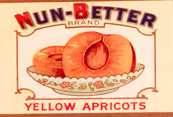 Nun-Better Apricots